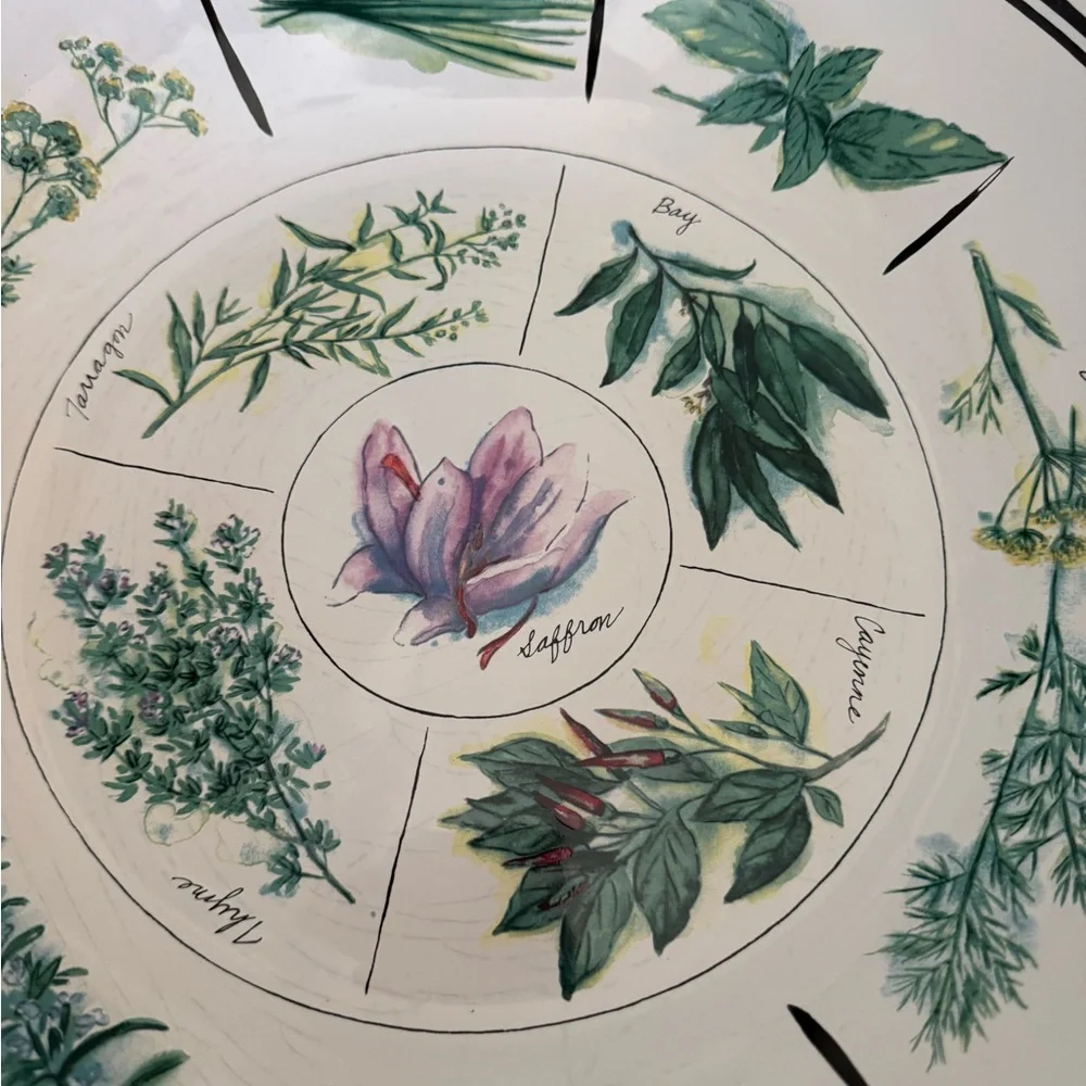 Williams-Sonoma 13” White Ceramic serving bowl with painted culinary herbs GUC - Picture 12 of 13